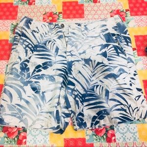 American Eagle Men’s shorts